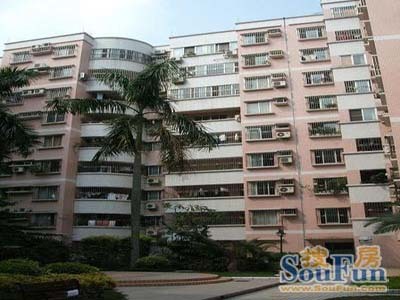 茶景苑3室1厅1卫南朝向4600.00元/月出租