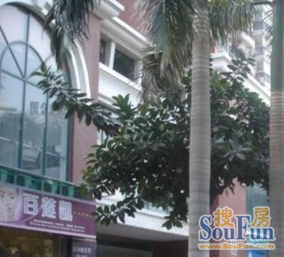 丽景台2室1厅1卫东北朝向4800.00元/月出租