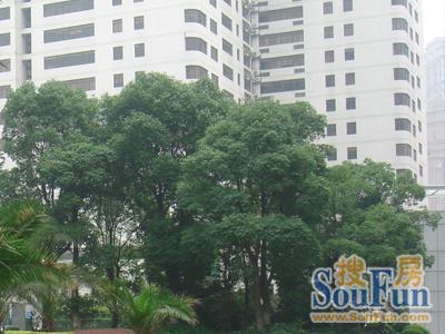 宜仕怡家2室2厅2卫南朝向11340.00元/月出租