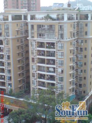 丽晴轩3室2厅2卫西北朝向5809.00元/月出租