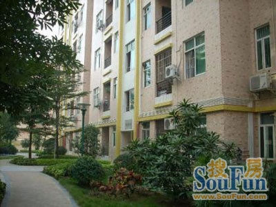 新景豪苑3室2厅2卫东南朝向2000.00元/月出租