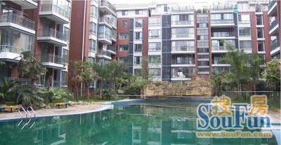 清江花园1室1厅1卫南朝向1900.00元/月出租