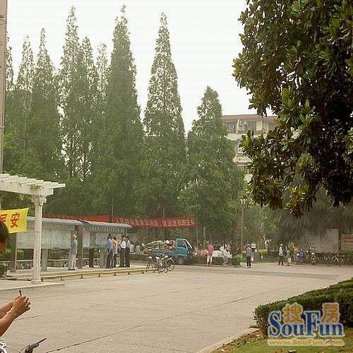 整租·桃园新村 2室1厅 南/北