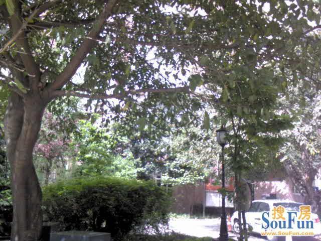 四季春天2室1厅1卫东南朝向2100.00元/月出租