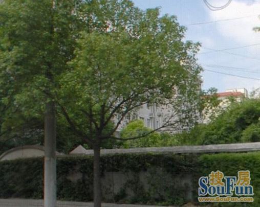 绿园十二村2室1厅1卫南北朝向6000.00元/月出租