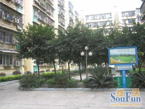 芳草街47号院3室1厅1卫东南朝向2500.00元/月出租