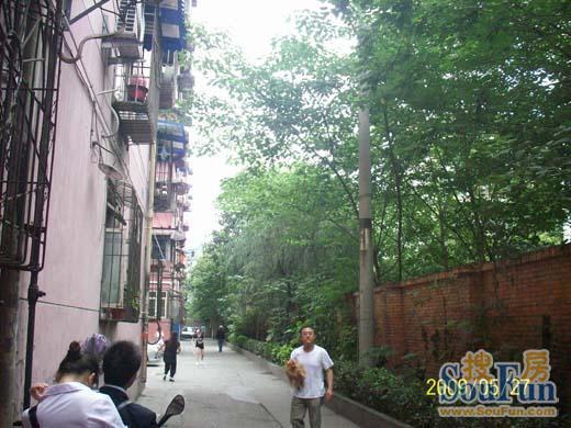 文苑路48号院3室1厅1卫西朝向2200.00元/月出租