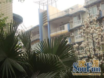 天益佳苑3室2厅2卫东南朝向1800.00元/月出租