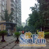 一环路南三段64号院3室1厅1卫东南朝向2300.00元/月出租