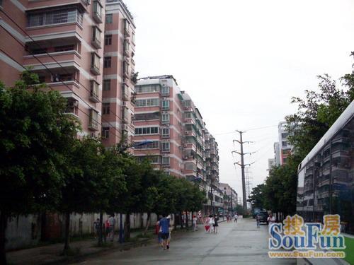 鸿新苑2室1厅1卫南朝向3200.00元/月出租