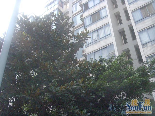 汇景樱桃季2室1厅1卫东朝向2300.00元/月出租