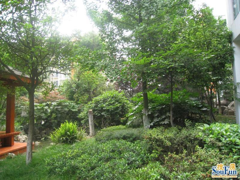 南阳锦城3室2厅2卫东朝向2600.00元/月出租