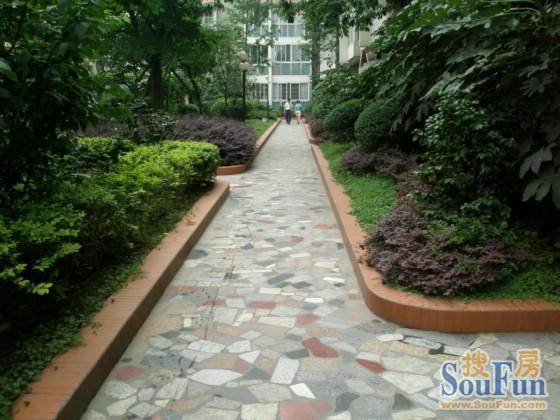 碧莲雅舍3室1厅2卫东朝向3200.00元/月出租