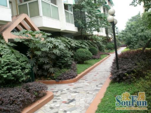 碧莲雅舍2室1厅1卫东南朝向2650.00元/月出租