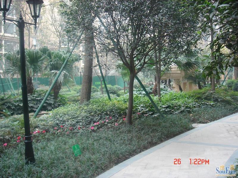云湖阳光1室1厅1卫西南朝向2000.00元/月出租