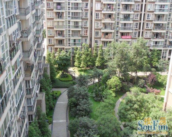 齐力光华岁月2室1厅2卫南朝向2600.00元/月出租