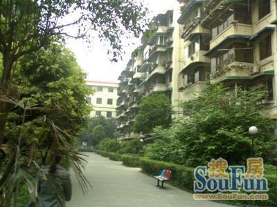 清溪苑3室1厅2卫南朝向2600.00元/月出租