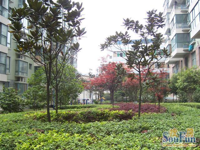 喜丽佳园2室1厅1卫东南朝向2110.00元/月出租