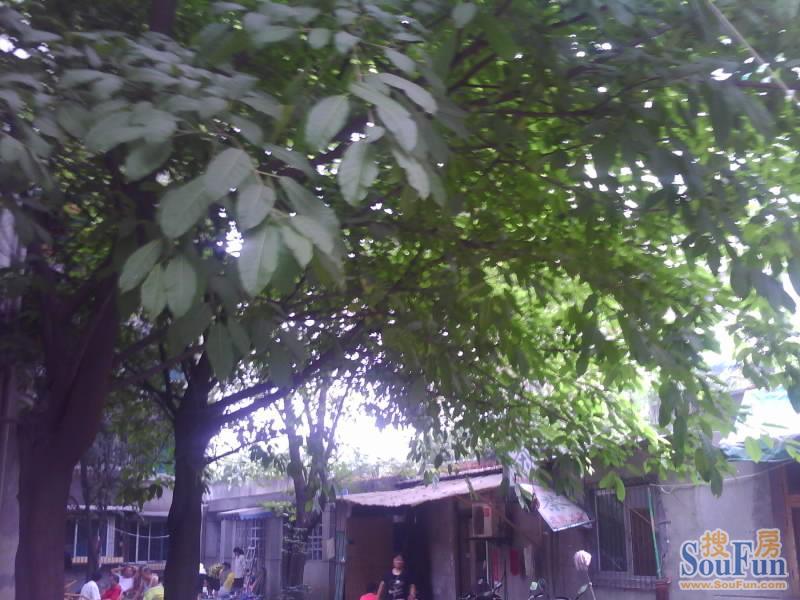 清溪东路2号院2室1厅1卫东南朝向1500.00元/月出租