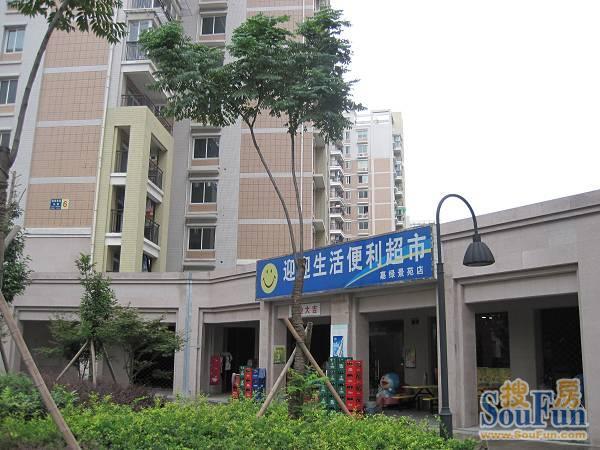 整租·嘉绿景苑东园 3室2厅 南