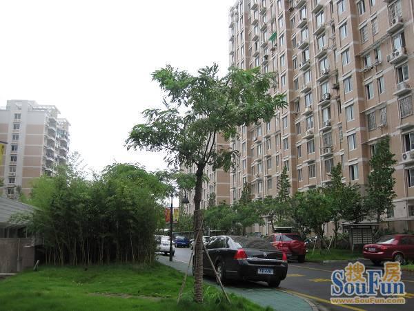 整租·嘉绿景苑东园 3室2厅 南