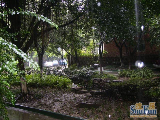 整租·汇景樱桃季 2室1厅 西