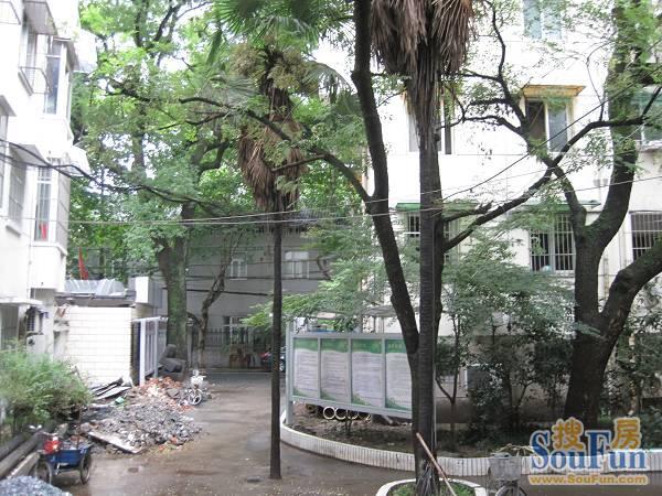整租·桃园新村 4室2厅 南