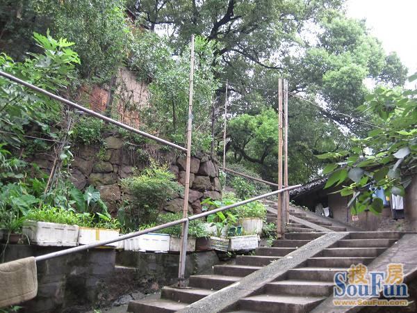 整租·桃园新村 1室1厅 南