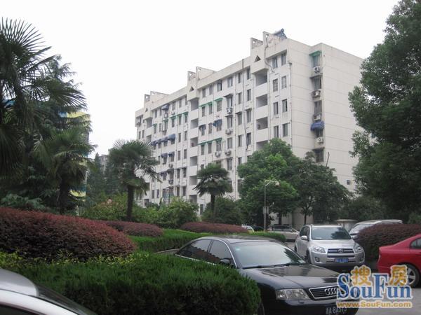高教新村3室1厅1卫南朝向4800.00元/月出租