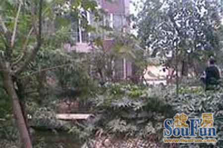 幸福时光1室1卫东南朝向1550.00元/月出租