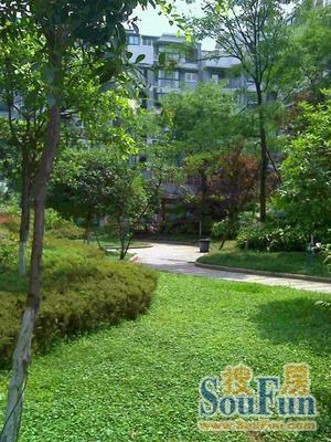双楠风景一期1室1厅1卫东南朝向1900.00元/月出租