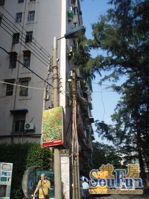 华翠苑3室2厅2卫南朝向4800.00元/月出租