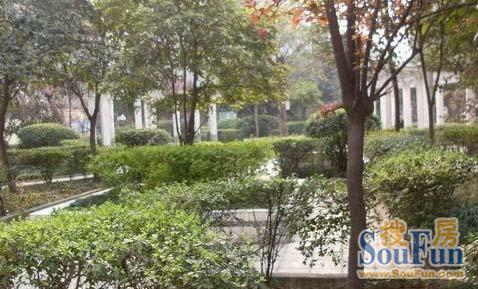 玉林南街3号院1室1厅1卫东南朝向1700.00元/月出租