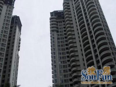 中房观湖国际3室2厅1卫南朝向2400.00元/月出租