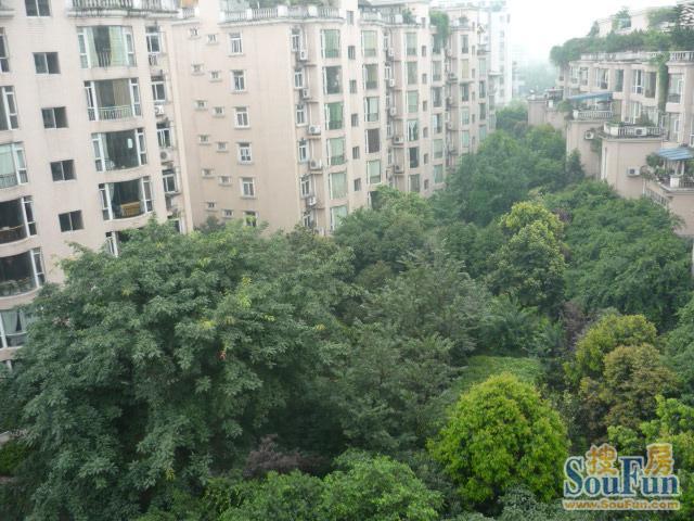 整租·泰庄花园 2室2厅 东南