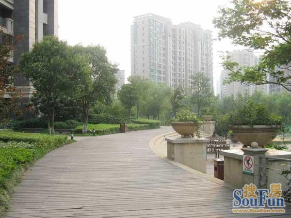 ��ƹ�������