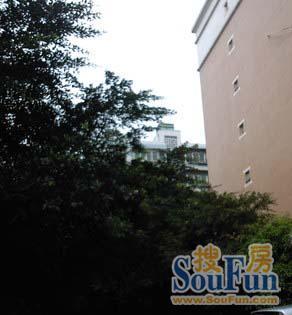 阳光苑3室2厅2卫东朝向3100.00元/月出租