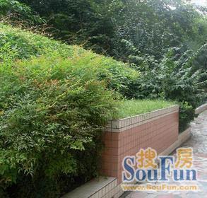 科华之星1室1厅1卫西朝向2000.00元/月出租