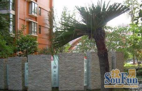 双楠回归线2室1厅1卫南朝向2400.00元/月出租