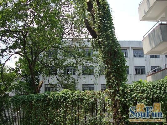 华工红棉苑3室2厅2卫南朝向6000.00元/月出租