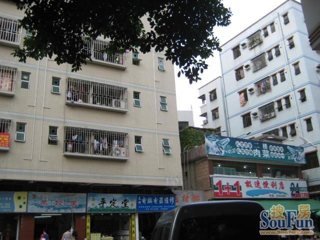 莲塘花园3室1厅1卫南朝向4500.00元/月出租