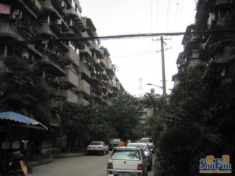 整租·东坡小区 3室1厅 南
