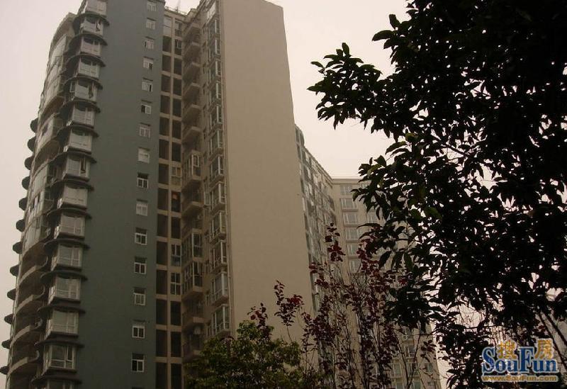 泰和佳园3室2厅2卫东南朝向3700.00元/月出租
