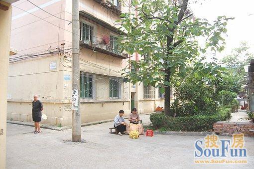 铁路七村2室2厅1卫南北朝向1100.00元/月出租