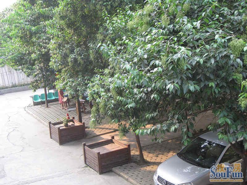 海椒市街60号院3室1厅1卫南朝向2600.00元/月出租