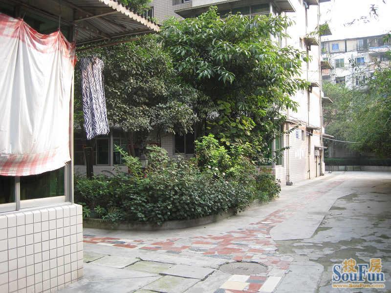 金桂园3室1厅2卫东南朝向2500.00元/月出租