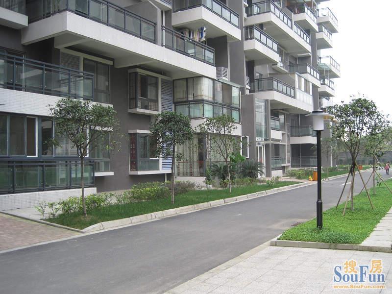 粼江峰阁3室2厅2卫西北朝向4800.00元/月出租