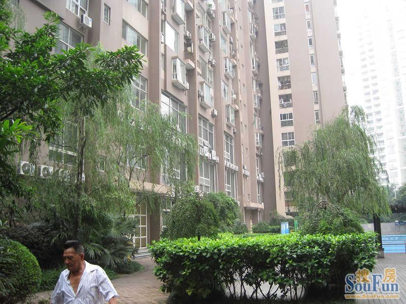 南府锦3室2厅2卫东南朝向4800.00元/月出租