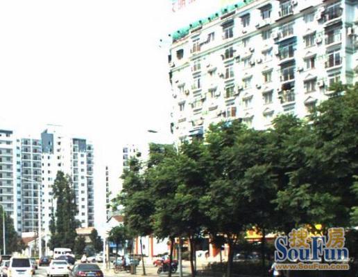 香河公寓1室1卫南朝向1200.00元/月出租