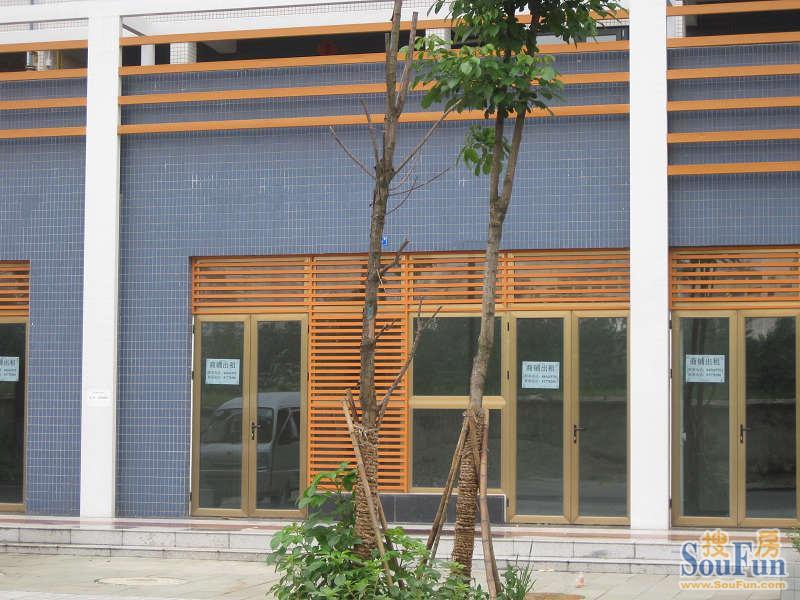 蜀光新城一期2室1厅1卫东南朝向2500.00元/月出租